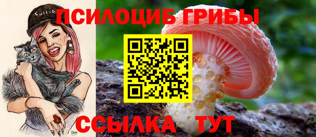 Галлюциногенные грибы прущие грибы Сокол